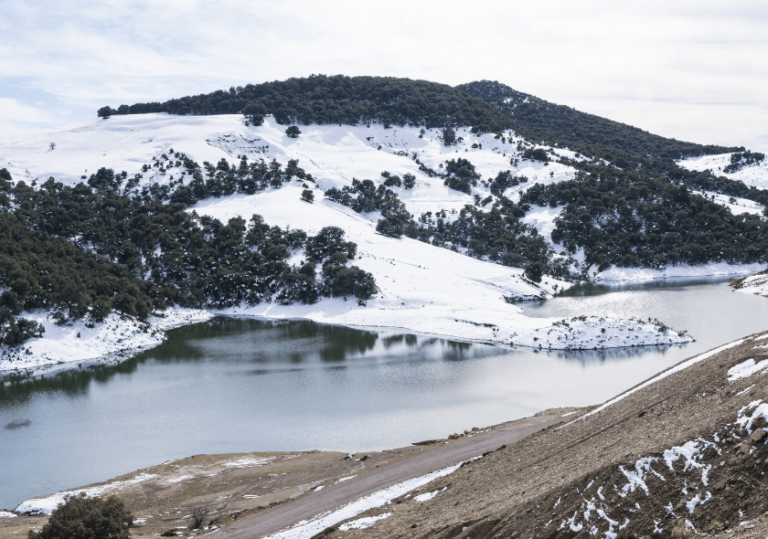 Scenic view of the Middle Atlas Mountains during a day trip to the Middle Atlas, showcasing lush cedar forests and serene landscapes.