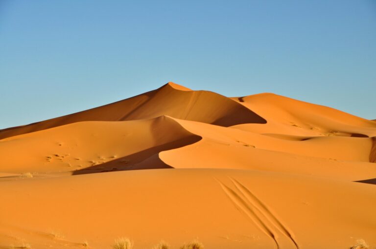 Desert Landscape on a Tour From Casablanca to Marrakech